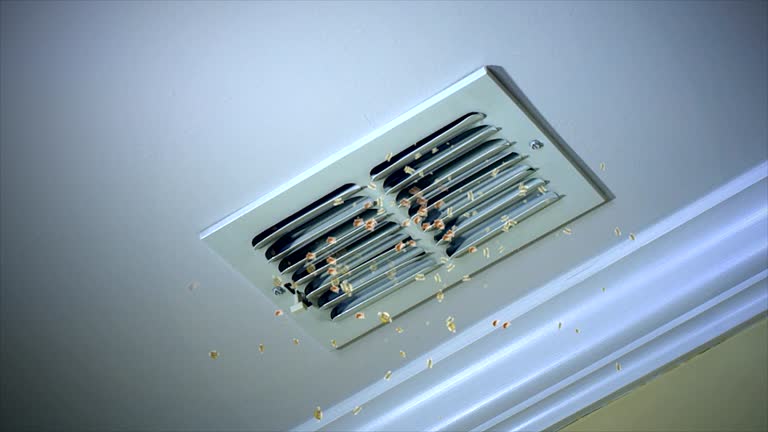 Best Air Duct Cleaning Near Me  in North Logan, UT