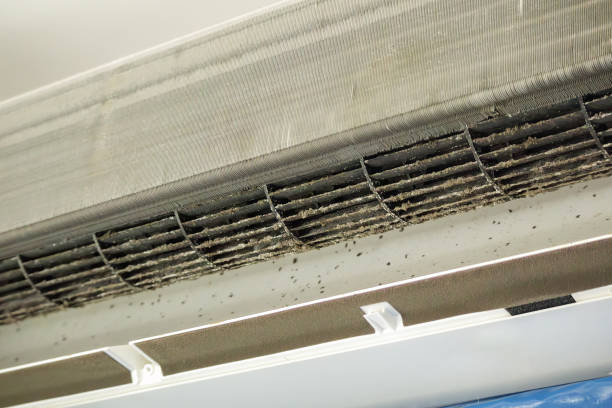 Best Affordable HVAC Duct Cleaning  in North Logan, UT